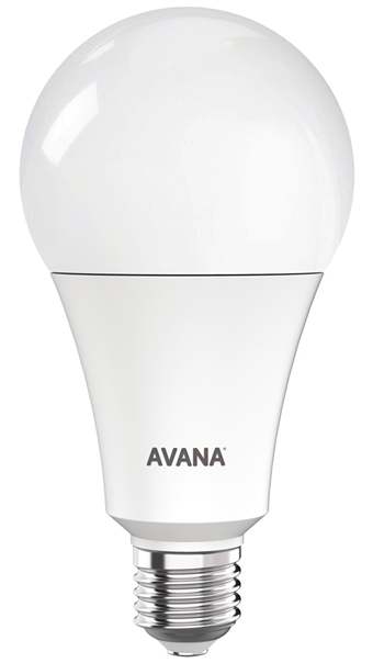 Emergency Bulb